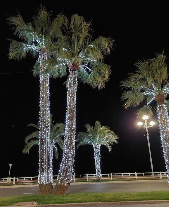 Appartamento Promenade Des Vue Nizza